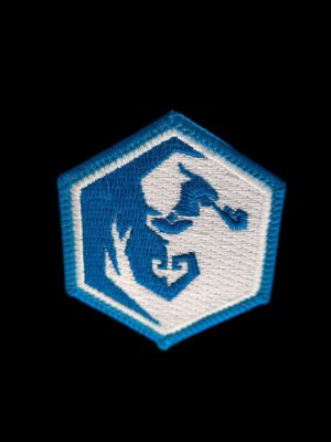 Resistance dragon